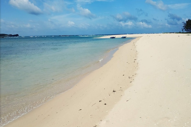 Ảnh slide minh họa 5